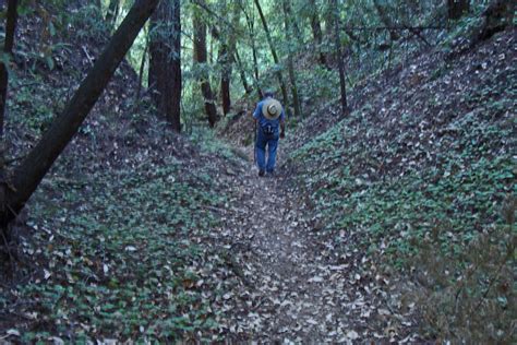 Hiking To Heaven: Loma Prieta Epicenter Hike