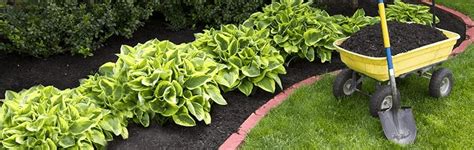 Best Mulch Delivery & Installation Service Near Me