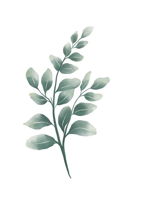 Green watercolor leaves 11660313 PNG