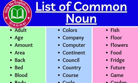 100+ Common Noun List of words in English » Onlymyenglish.com