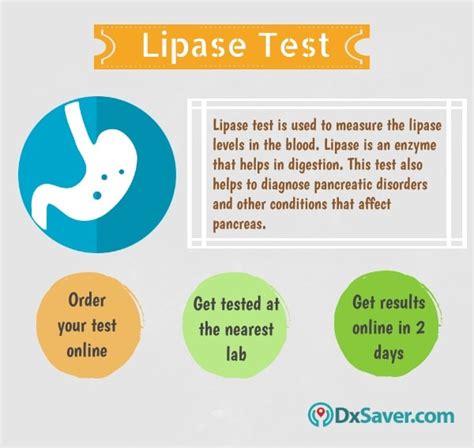 Get Lowest Lipase Test Cost Just at $39 | Book Online Now - DxSaver.com