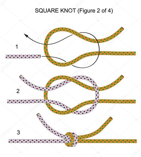 Square knot (illustration 2 of 4) — Stock Vector © sivanova #1570820