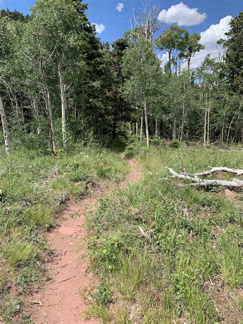 Baker Creek Mountain Biking Trail - - Colorado