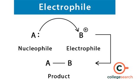 Difference Between Electrophile and Nucleophile: Definitions, Examples ...