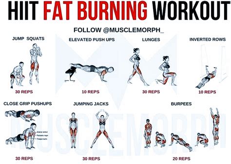 6 Day Fat Burning Calisthenics Workout for Beginner | Fitness and ...