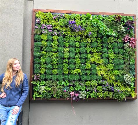 Plants On Walls – Easy affordable living walls you can grow.