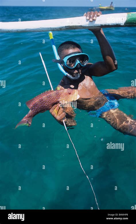 Harpoon fishing Stock Photo - Alamy