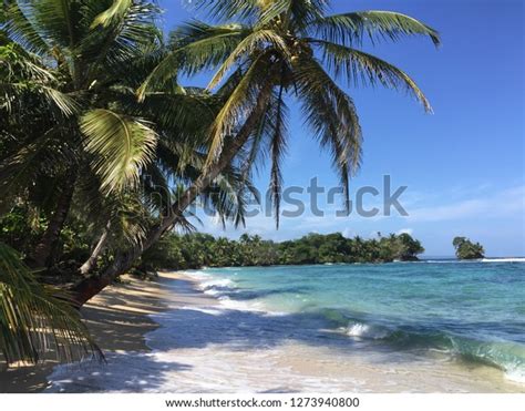 Tropical Beach Panama Stock Photo 1273940800 | Shutterstock