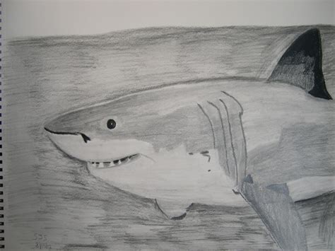 Sharky Smile by artfromtheheart92 on DeviantArt