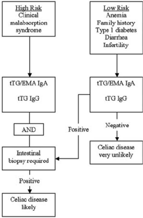 Diagnosis of celiac disease. | Download Scientific Diagram