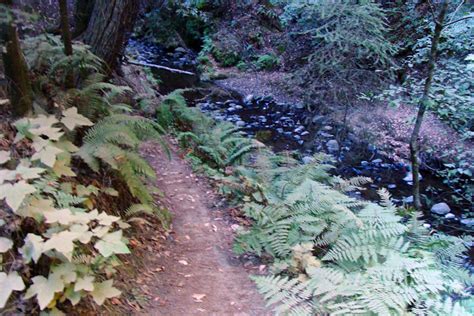 Hiking To Heaven: Loma Prieta Epicenter Hike