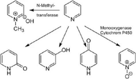 Pyridine Derivatives, for Phrama at best price in Mumbai | ID: 11676161233