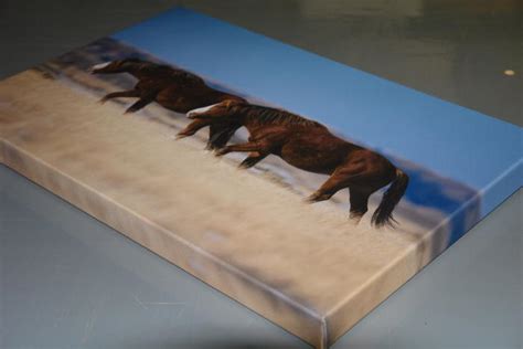 Mounted Canvas Prints