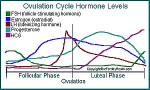 What is FSH (Follicle Stimulating Hormone)