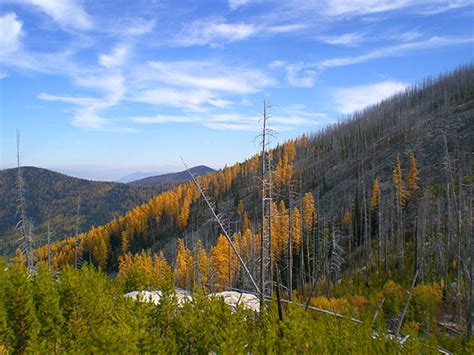 Snow Peak Cabin: Colville National Forest - Out There Outdoors