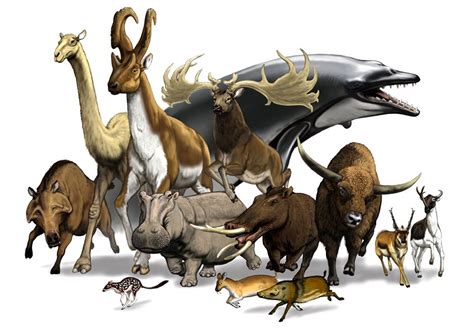 Paleogene Period | Paleontology World | Prehistoric animals, Extinct ...