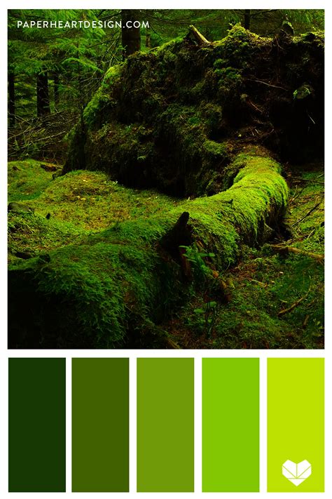 Color Palette: Gorgeous Green — Paper Heart Design