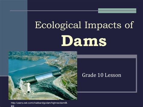 The 5 largest dams and their ecological impact