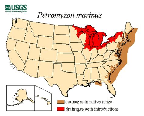 Sea Lamprey Map