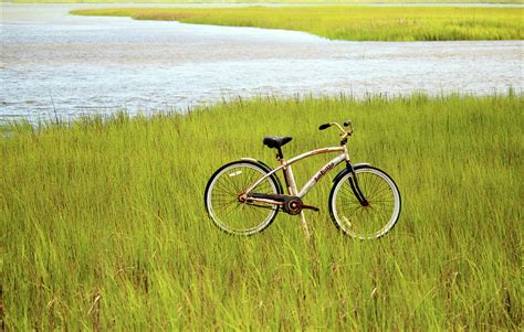 Rusty Bike In The Marsh Photograph by Cynthia Guinn - Pixels