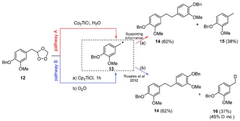 Scheme 7. Experiments in the radical opening of ozonide 12. (a ...