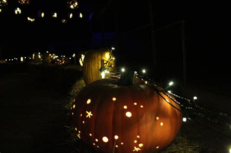 Pumpkin Nights