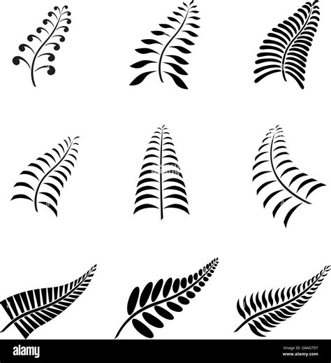 Share more than 70 silver fern tattoo latest - in.cdgdbentre