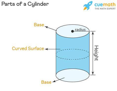 Surface Area of a Cylinder - Formula, TSA and CSA