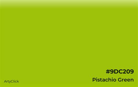 Pistachio Green Color | ArtyClick