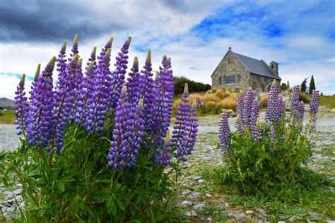 The New Zealand Seasons and Climate - NZ Pocket Guide