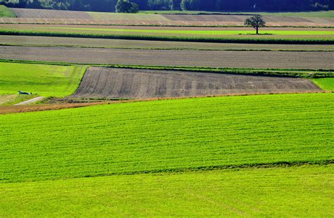 Wallpaper : grassland, green, pasture, agriculture, plain, farm ...