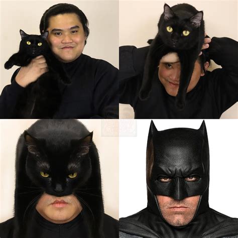 Catman | Пикабу