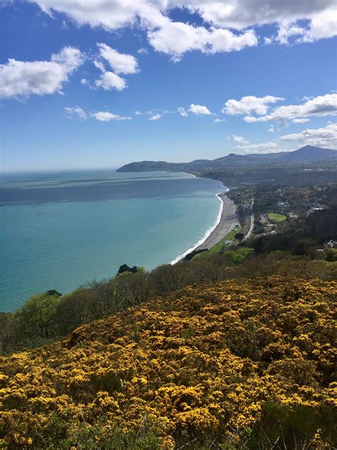 Killiney Hill Park on the sunniest Sunday : r/ireland