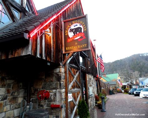 SMOKEY MOUNTAIN BREWERY gatlinburg,tn,,,,great steak and broccoli and ...