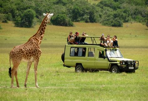 Serengeti Safaris Tours | Tanzania Safaris | Tanzania Wildlife Safaris