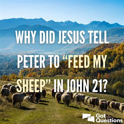 Jesus Told Peter Feed My Sheep