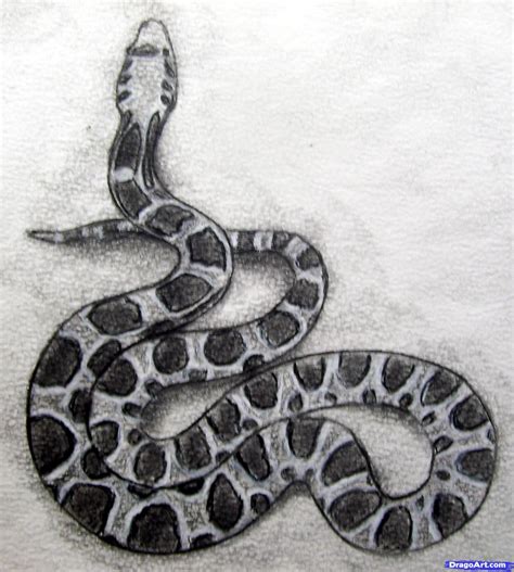 Realistic Snake Black And White Drawing - Snake Drawing