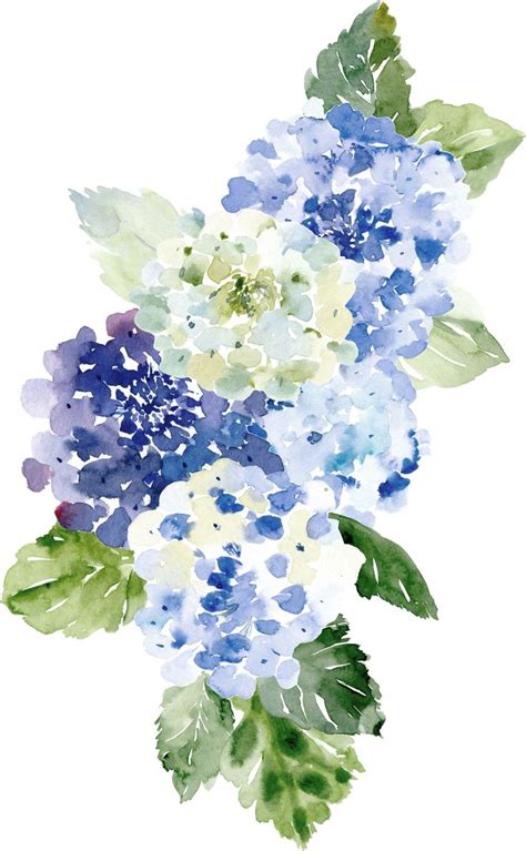 Watercolor Hydrangea Clipart Blue Floral Clip Art Blue - Etsy ...