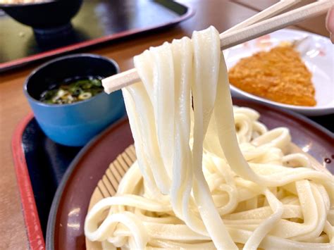 Udon Guide: Types of Udon Noodles - Japan Web Magazine