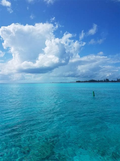 Went snorkeling in Princess Cays (Eleuthera, Bahamas) : r/pics