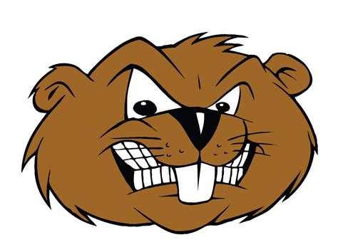 Cartoon Beaver Images - ClipArt Best