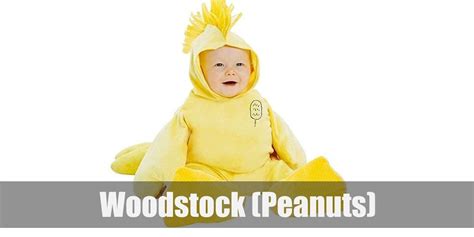 Woodstock (Peanuts) Costume for Cosplay & Halloween | Woodstock costume ...