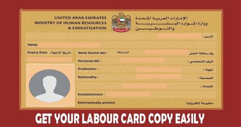 How to Get UAE Labour Card Copy Online? (Method 2023) - V Guide