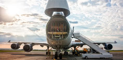 The cargo hold on commercial aeroplanes - Grupo One Air