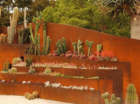 Desert, Xeriscape and Rock Gardens | DIY