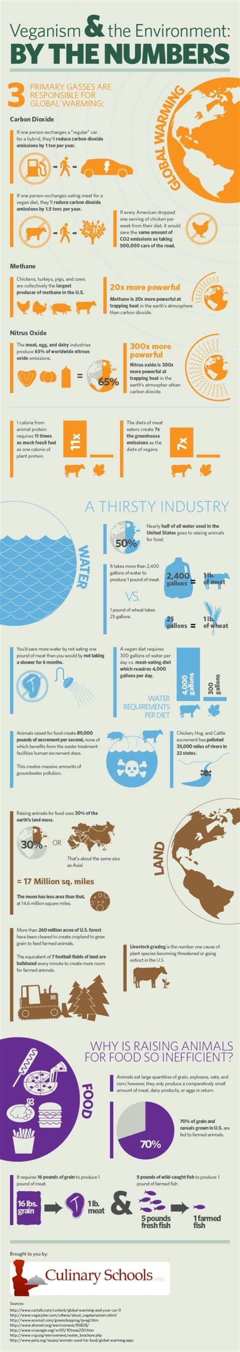 Veganism and the Environment Infographic Shows the Environmental Impact ...