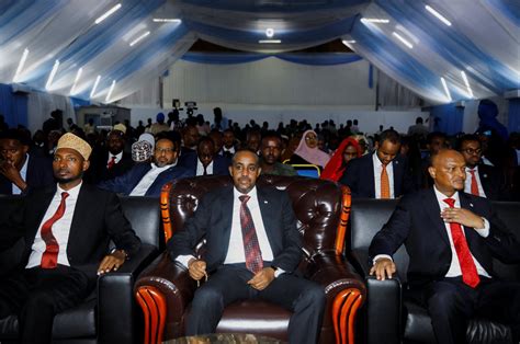 What are the determinants of election victory in Somalia? | Opinion