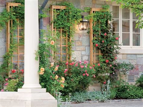 Is trellis garden worth the hype? (21+ designs decoded)