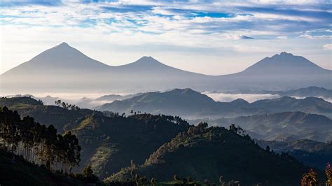 Tourism activities in volcanoes national park Rwanda- What to Do