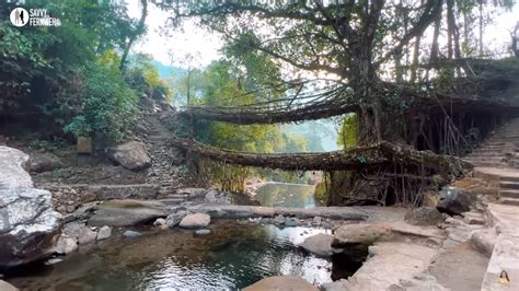 Double Decker Living Root Bridge – Breathtaking Trek Through ...